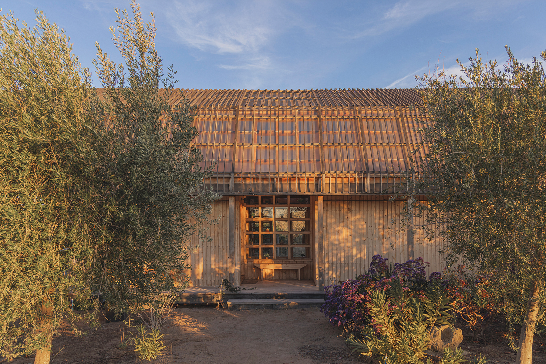 Casas03-H-Pablo Casals